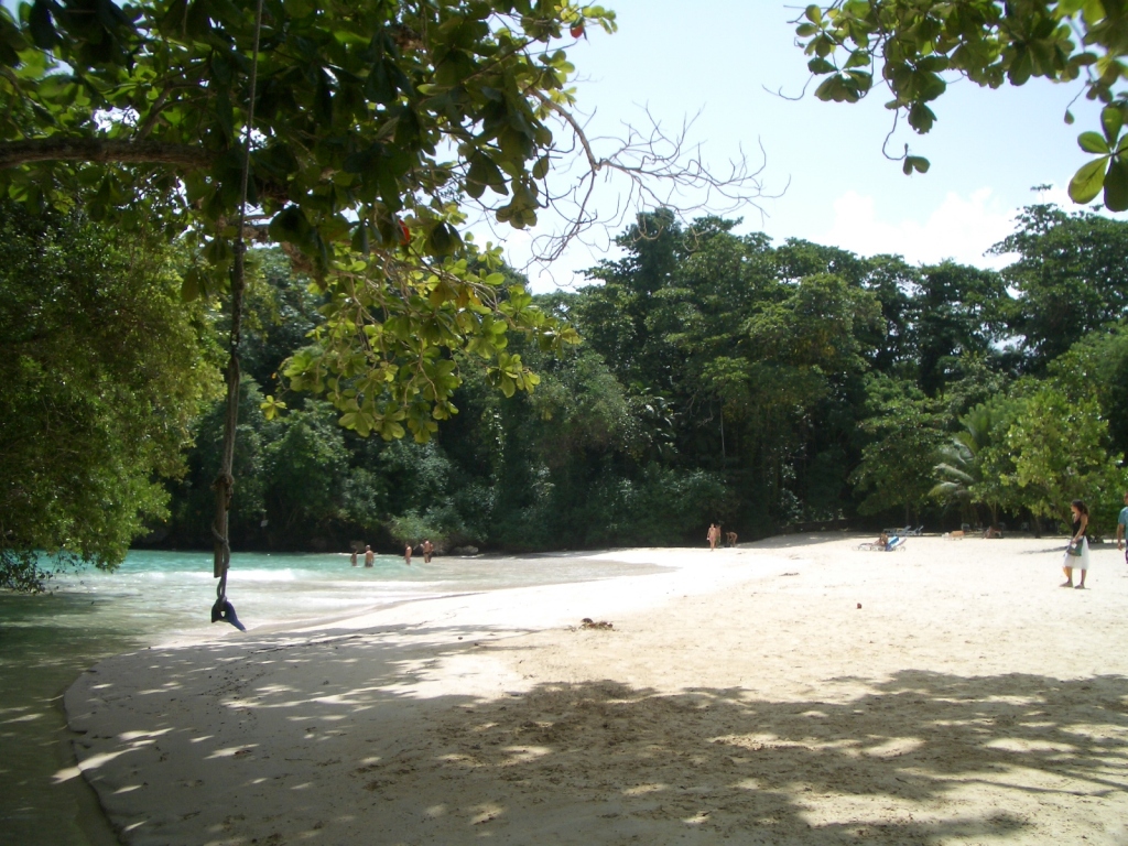 Frenchman's Cove — a white sand beach in Portland, Jamaica, where a river meets the sea, framed by rainforest and a rope swing hanging from a tree.